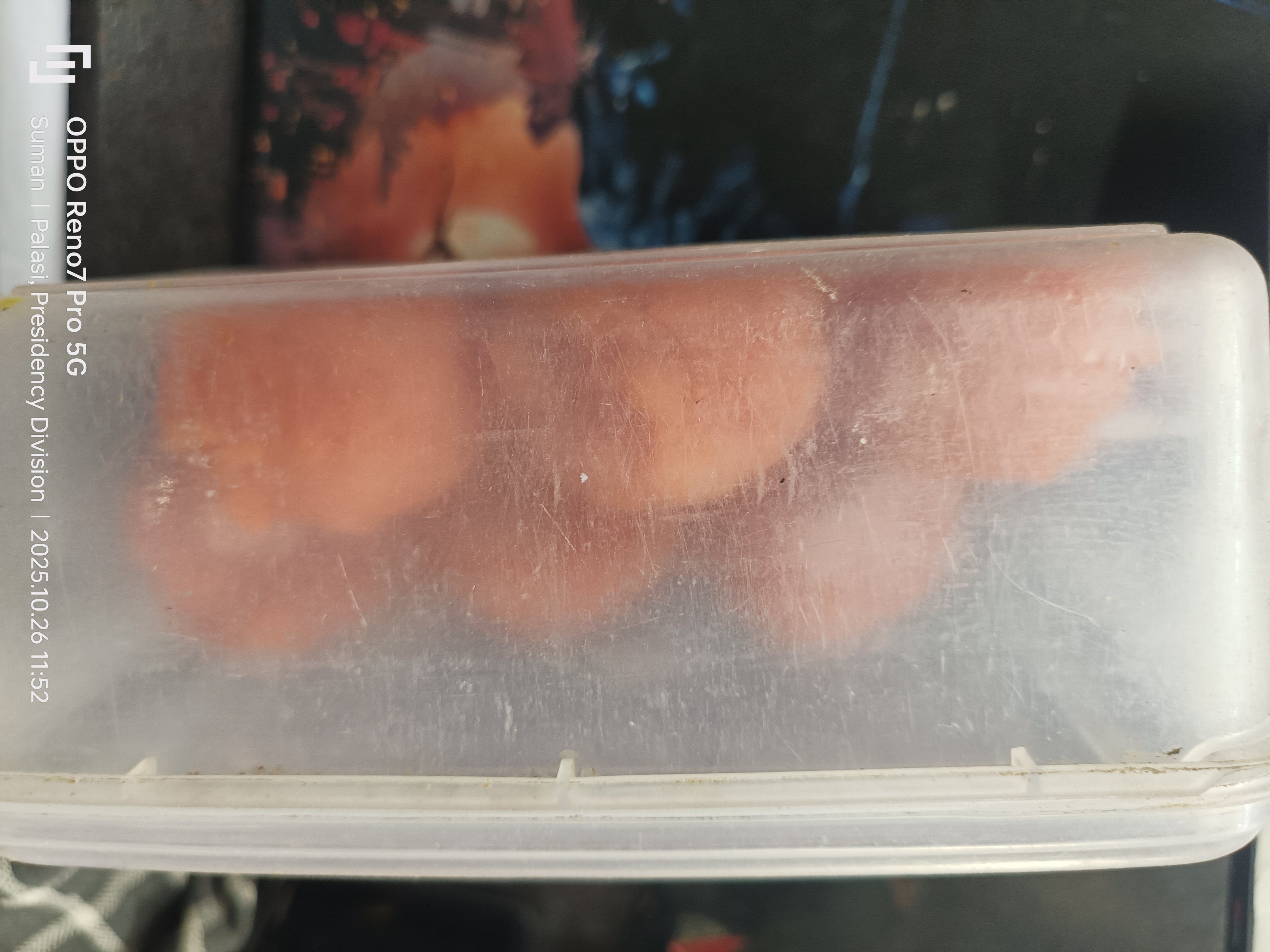 MOHAPROVU SP.  LADDU